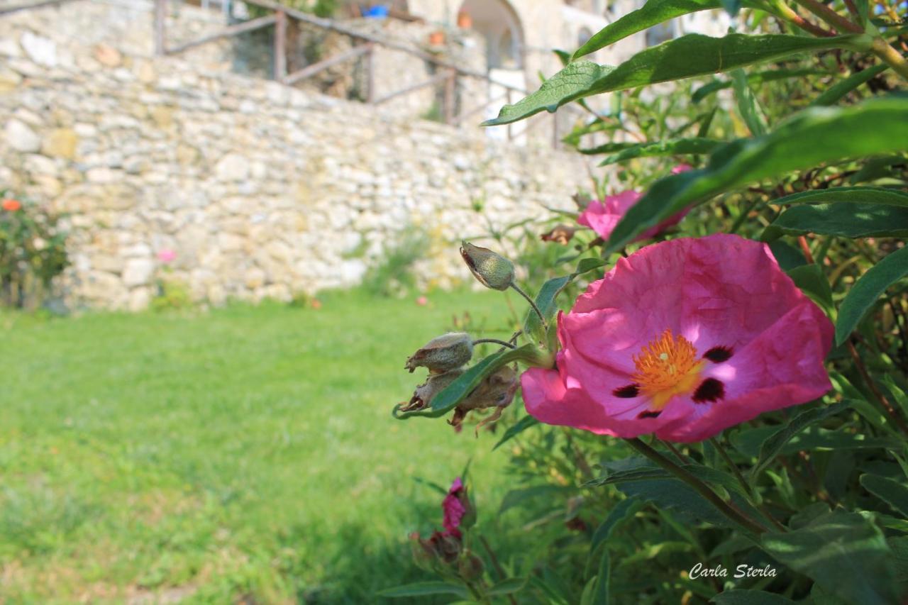B&B Rubando Le Nuvole Orco Feglino Extérieur photo